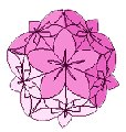 Papier de Kusudama Papier de Kusudama