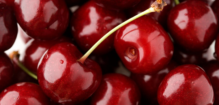 Les meilleures variétés de cerises - description avec photo