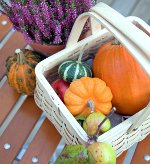 Calendrier lunaire pour octobre 2012 pour les jardiniers et les camionneurs