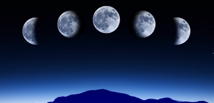 Calendrier lunaire du jardinier horticole en août 2015