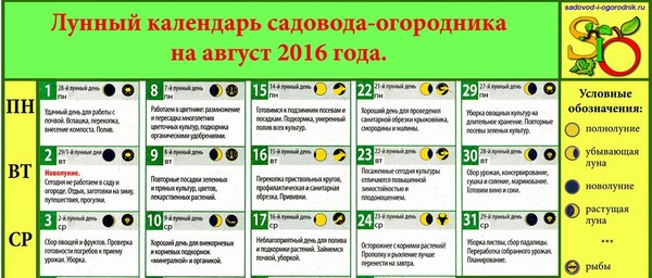 Camion calendrier calendrier lunaire pour août 2016 pour la région de Moscou, la zone médiane de la Russie, l'Oural, la Sibérie, le Nord-Ouest, la Biélorussie et l'Ukraine Camion calendrier calendrier lunaire pour août 2016 pour la région de Moscou, la zone médiane de la Russie, l'Oural, la Sibérie, le Nord-Ouest, la Biélorussie et l'Ukraine
