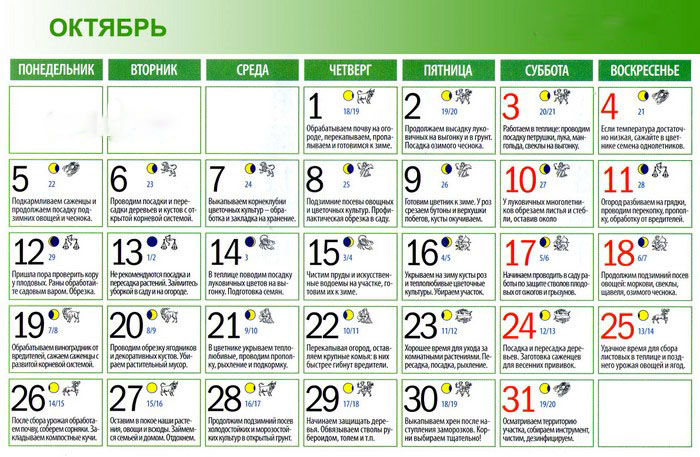 Le calendrier lunaire de l'horticulteur-jardinier en octobre 2015
