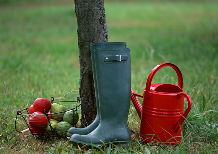 Le calendrier lunaire de l'horticulteur-jardinier en octobre 2015