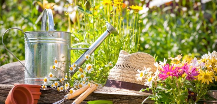 Calendrier lunaire du jardinier-jardinier en septembre 2015