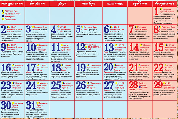 Calendrier de semis lunaire pour janvier 2017 dans la table pour les jardiniers et les producteurs de camions. Jours de plantation favorables pour les tomates (tomates) pour les semis lunaires-2017