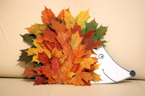 Hérisson des feuilles
