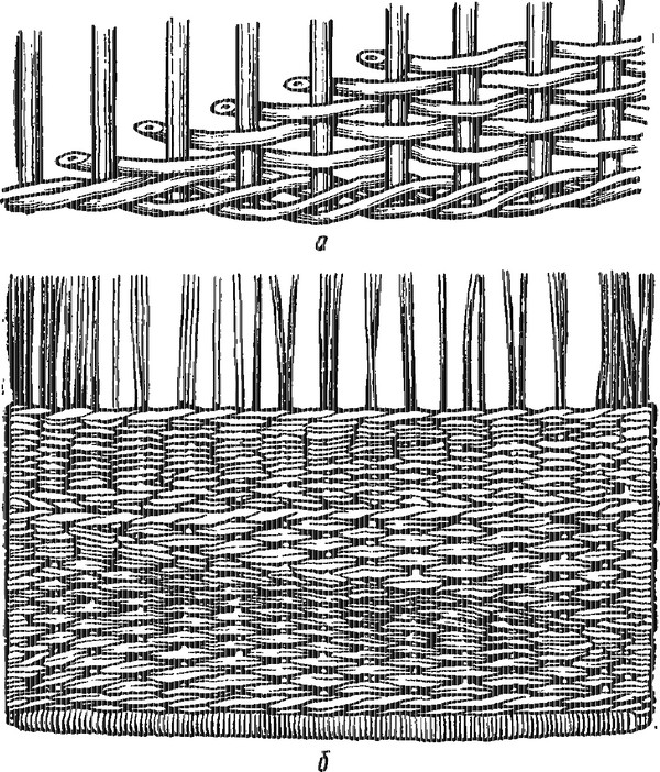 Tissage de la vigne