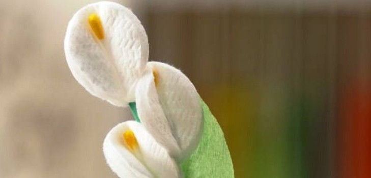 Fleurs de coton avec leurs propres mains