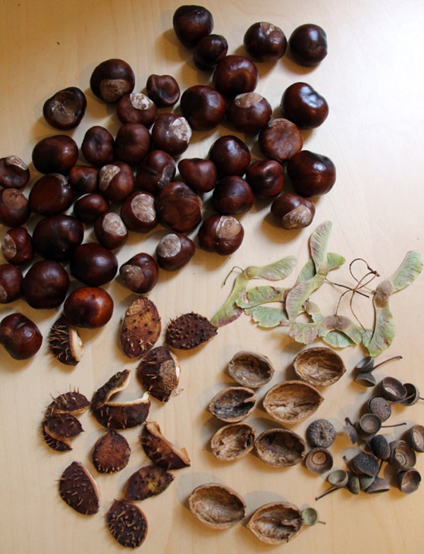 Artisanat de châtaignes sur le thème de l'automne