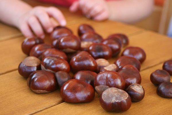 Artisanat de châtaignes sur le thème de l'automne