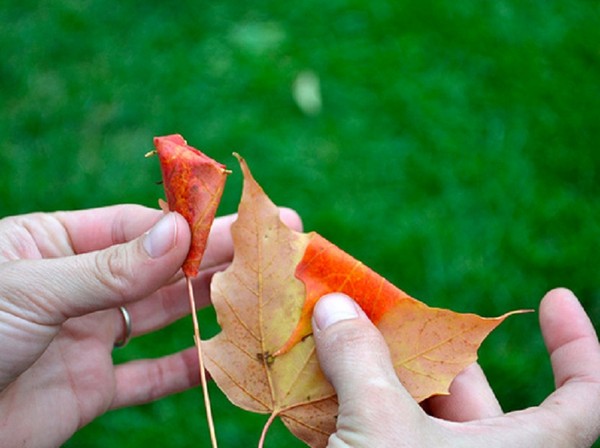 Artisanat de feuilles sur le thème "Automne" avec leurs propres mains pour les écoliers