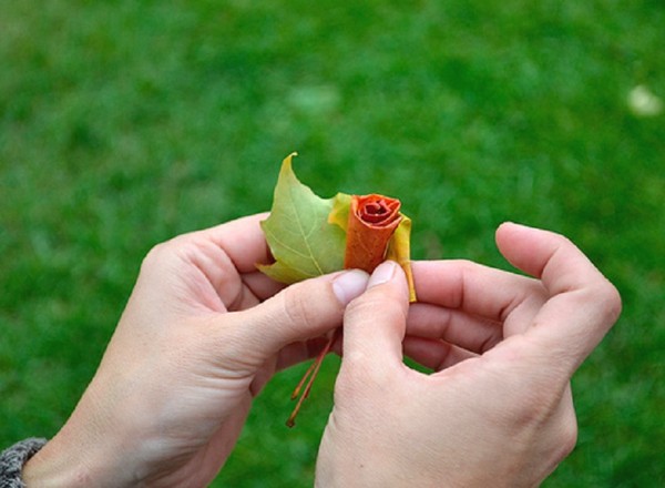 Artisanat de feuilles sur le thème "Automne" avec leurs propres mains pour les écoliers