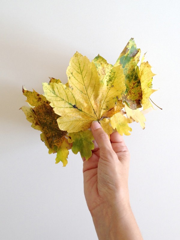 Artisanat de feuilles sur le thème "Automne" avec leurs propres mains pour les écoliers