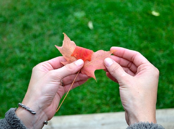 Artisanat de feuilles sur le thème "Automne" avec leurs propres mains pour les écoliers