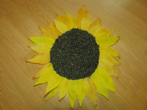 Artisanat de feuilles sur le thème "Automne" avec leurs propres mains pour les écoliers