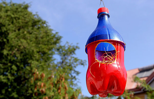 Nouveaux artisanats de bouteilles en plastique avec leurs propres mains pour le jardin et le verger