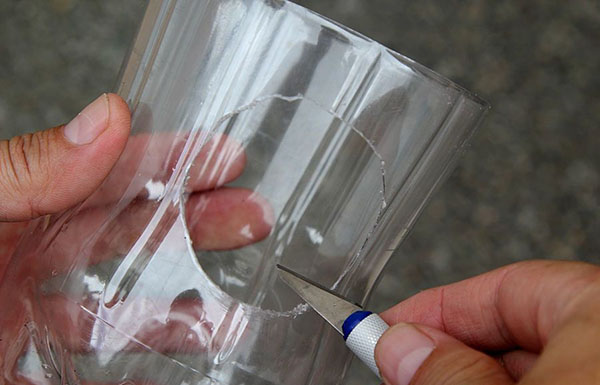 Nouveaux artisanats de bouteilles en plastique avec leurs propres mains pour le jardin et le verger