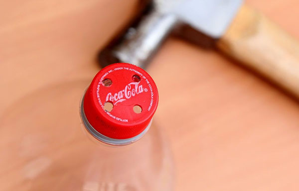 Nouveaux artisanats de bouteilles en plastique avec leurs propres mains pour le jardin et le verger