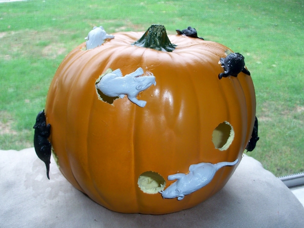 Citrouilles avec des souris