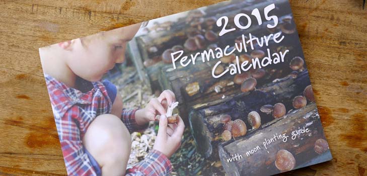 Calendrier des semis 2015: nous prévoyons de travailler de janvier à décembre