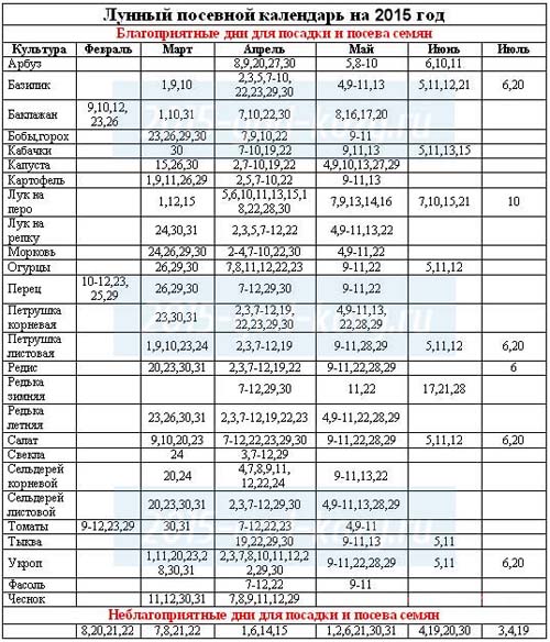 Calendrier des semis 2015: nous prévoyons de travailler de janvier à décembre