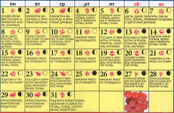 Calendrier des graines lunaires pour mai 2017