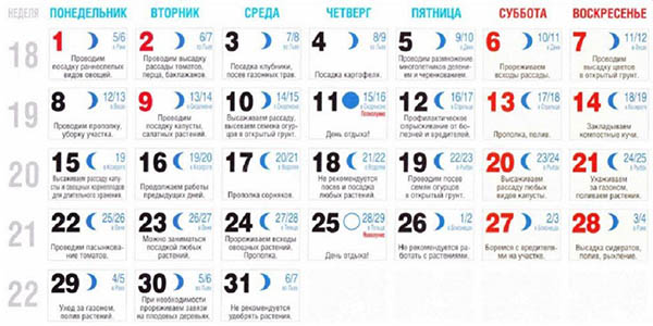 Calendrier des graines lunaires pour mai 2017
