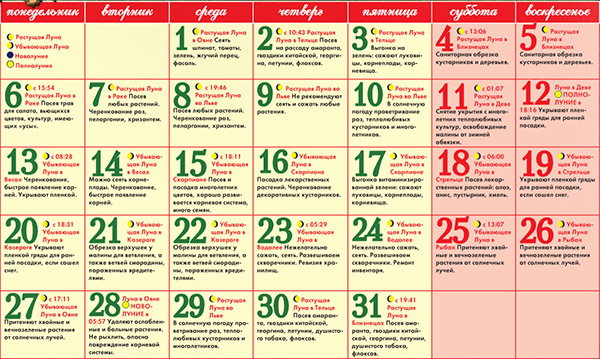 Calendrier des graines lunaires pour mars 2017