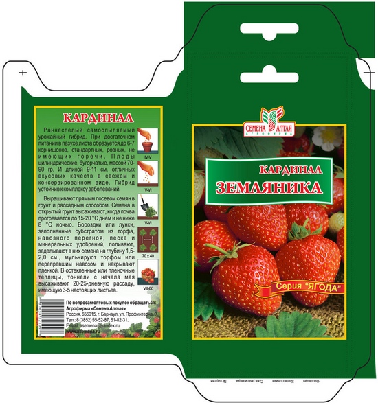 Semis de fraises et de fraises