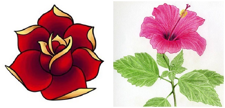 Fleur de la figure