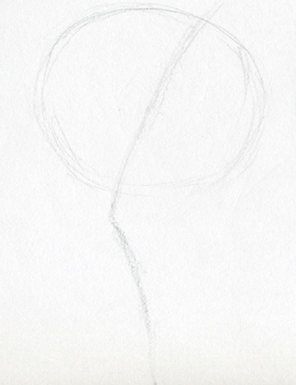 Fleur de la figure