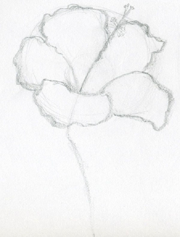 Fleur de la figure