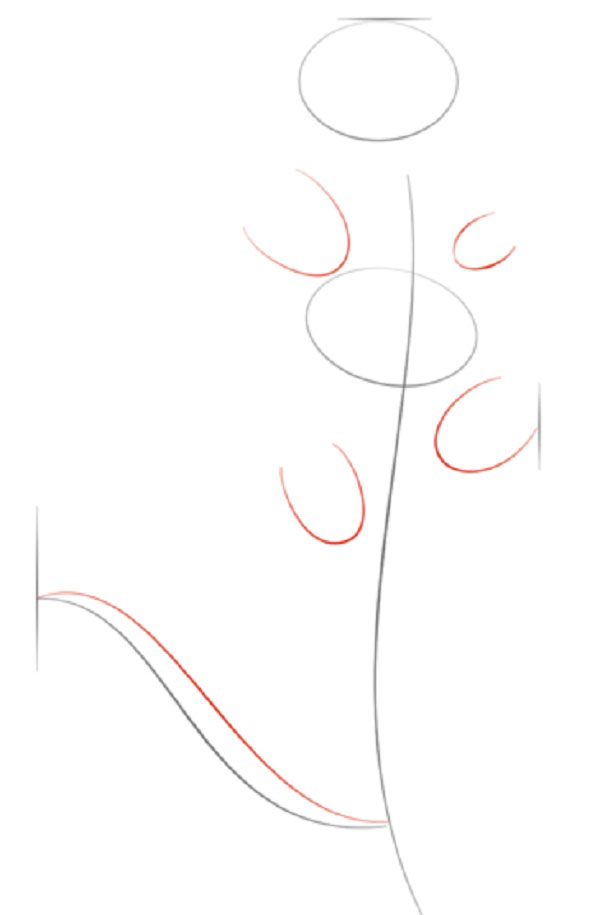 Fleur de la figure