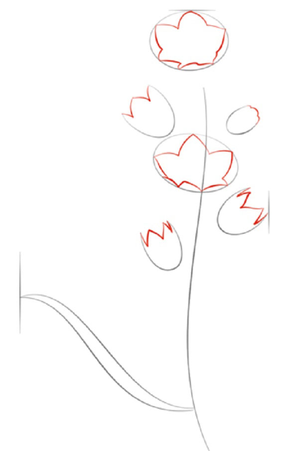 Fleur de la figure