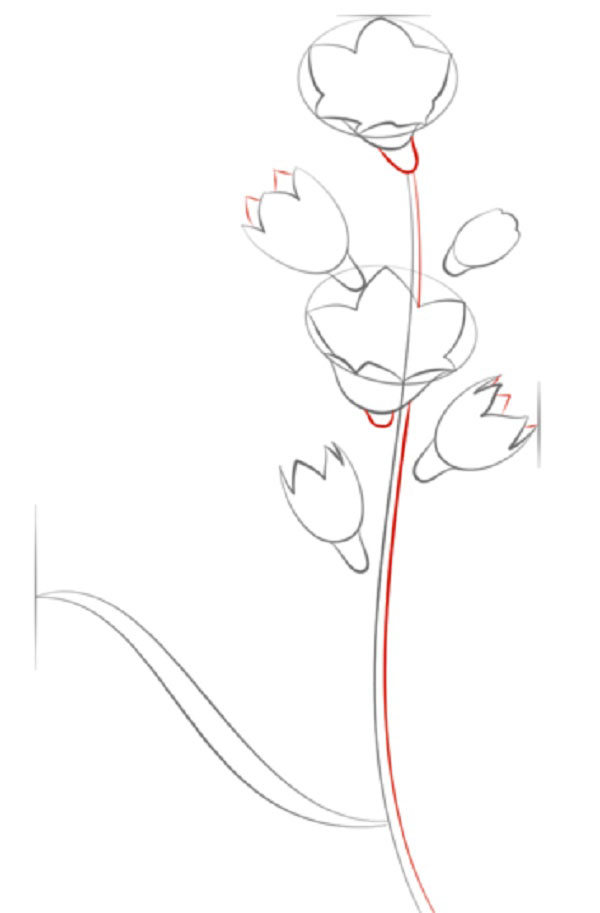 Fleur de la figure