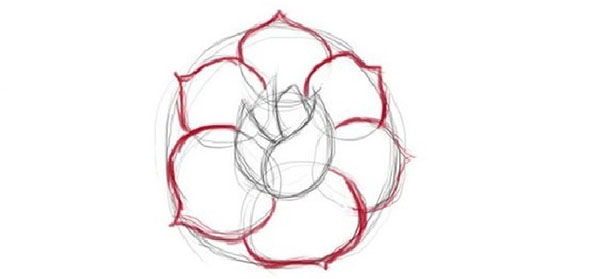 Fleur de la figure