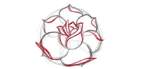 Fleur de la figure