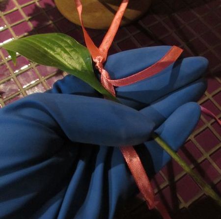 Guirlande de fleurs pour le mariage de leurs propres mains