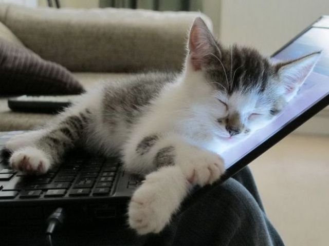 Comment désactiver le mode veille dans Windows 7
