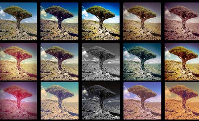 Comment utiliser Instagram