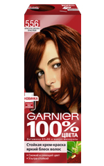 Garnier 100% couleurs