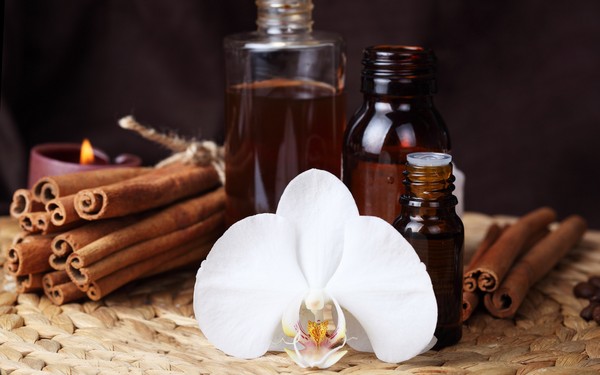 Amoveo SPA - le meilleur pour le corps et l'esprit