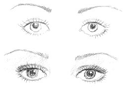 Yeux convexes Yeux convexes