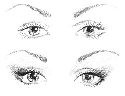 Yeux rapprochés Yeux rapprochés