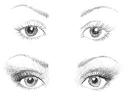 Yeux ronds Yeux ronds