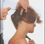 Coiffure royale de Patrick Cameron