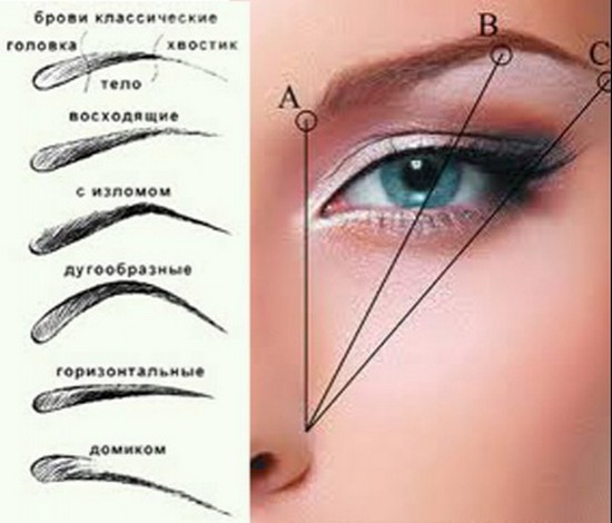 Forme de sourcil