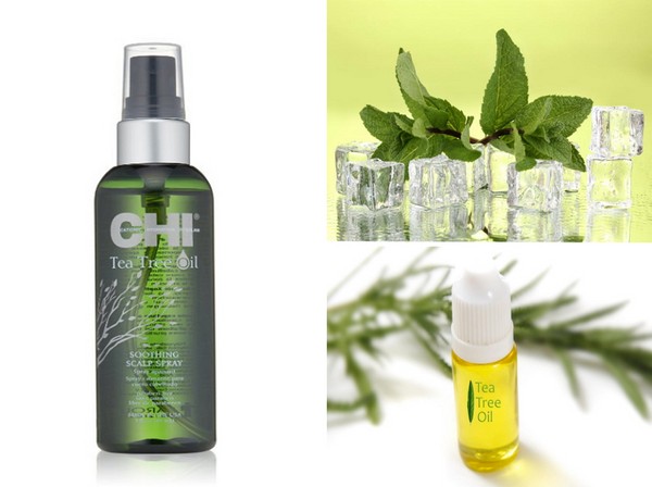 Hydratant d'été: une collection de soins capillaires SHI Tea Tree Oil