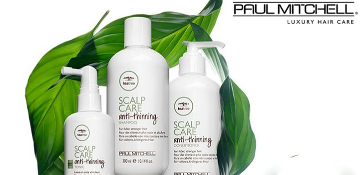 La force des cheveux des racines aux pointes: Série Paul Mitchell Tea Tree Scalp Care