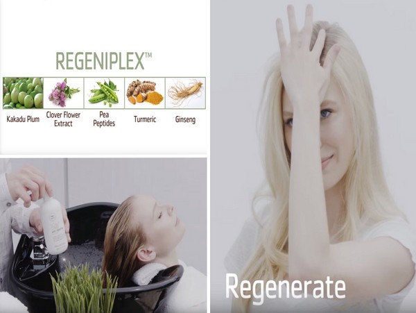 La force des cheveux des racines aux pointes: Série Paul Mitchell Tea Tree Scalp Care